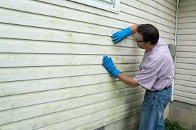 Best Storm Damage Siding Repair  in Sacaton, AZ